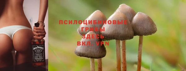 таблы Горняк