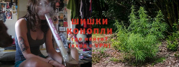 ГАЛЛЮЦИНОГЕННЫЕ ГРИБЫ Артём