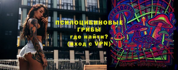 каннабис Майский