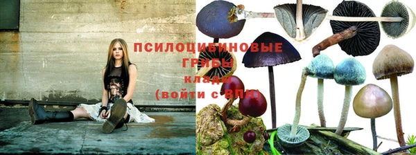 прущий лед Вяземский
