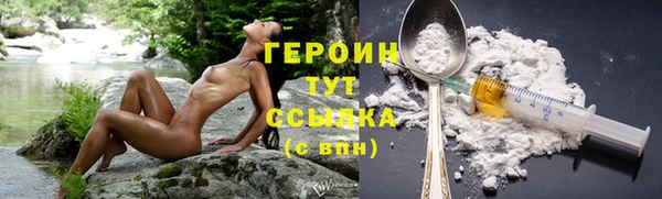 прущий лед Вяземский