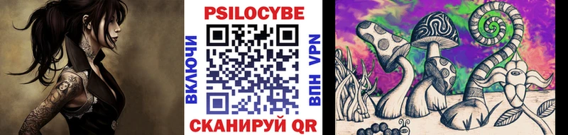 KRAKEN маркетплейс  Данков  Псилоцибиновые грибы ЛСД  как найти закладки 